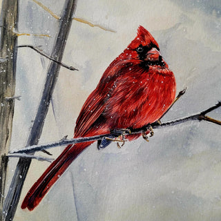 Watercolour Workshop: Christmas Cardinal | December 5th