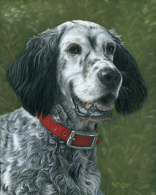 Intro to Coloured Pencils