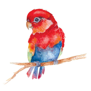 Beautiful Birds Watercolor Workbook