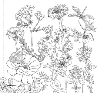 Wildflowers Adult Colouring Book