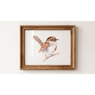 Beautiful Birds Watercolor Workbook