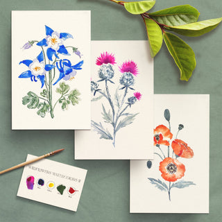 Watercolour Painting Kit : Wildflowers No2