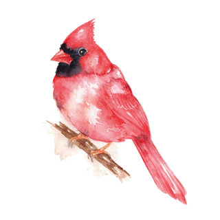 Beautiful Birds Watercolor Workbook