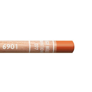 Caran d'Ache Luminance 6901 Coloured Pencils