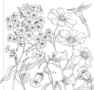 Wildflowers Adult Colouring Book