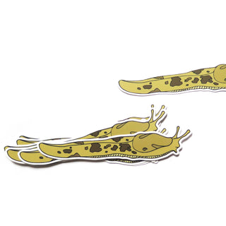Large Slug Sticker