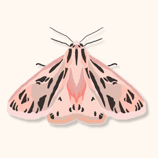 Sticker: Pink Tiger Moth