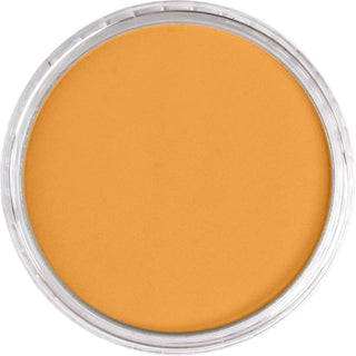 PanPastel Artist Pastels - Brown
