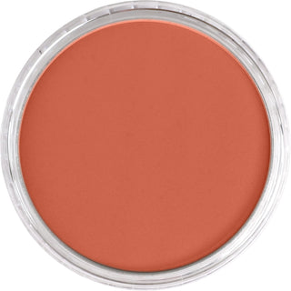 PanPastel Artist Pastels - Brown