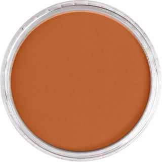 PanPastel Artist Pastels - Brown