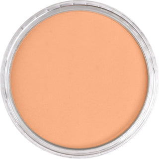 PanPastel Artist Pastels - Brown