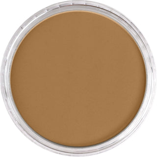 PanPastel Artist Pastels - Brown