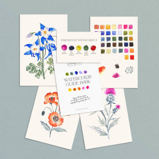 Watercolour Painting Kit : Wildflowers No2