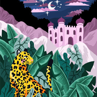 Adult Paint by Number Kits