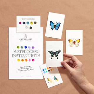 Antiquaria Mini Watercolour Kit: Butterflies