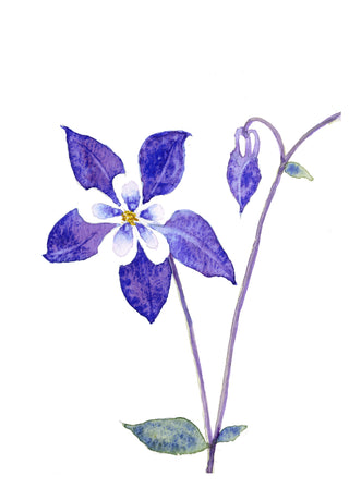 Watercolour Workshop: Floral Greeting Cards