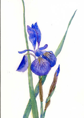 Watercolour Workshop: Floral Greeting Cards