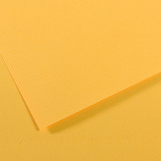 Mi-Teintes Pastel Papers - 8.5" x 11"