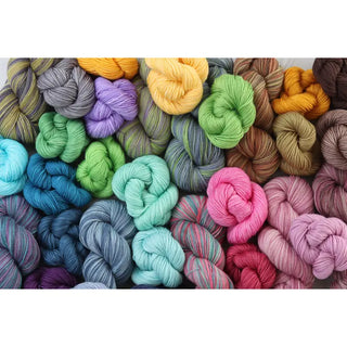 Intro to Dyeing Kit