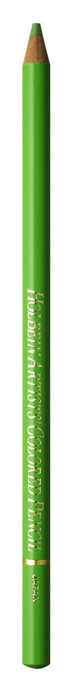 Holbein Artists' Coloured Pencils -  Green