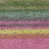 Evolution Original Sock Yarn