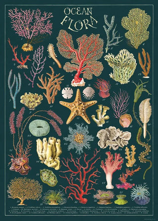 Cavallini & Co. Wrap/Posters