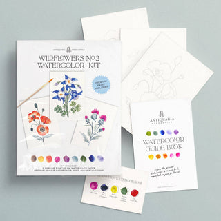 Watercolour Painting Kit : Wildflowers No2