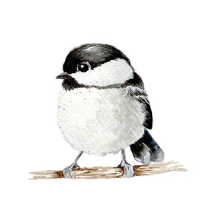 Beautiful Birds Watercolor Workbook