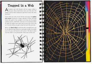 Bugs! Scratch and Sketch