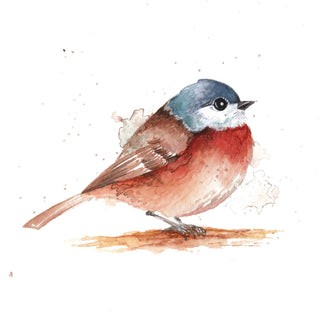 Beautiful Birds Watercolor Workbook