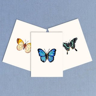 Antiquaria Mini Watercolour Kit: Butterflies