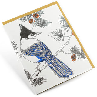 Steller's Jay Card