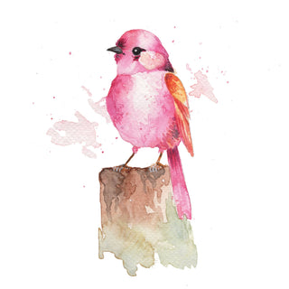 Beautiful Birds Watercolor Workbook