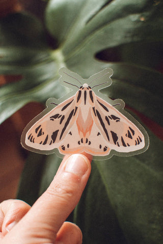 Sticker: Pink Tiger Moth