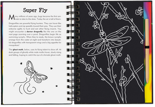 Bugs! Scratch and Sketch