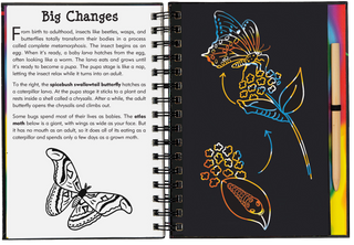 Bugs! Scratch and Sketch