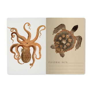 A6 Passport Notebook - Deep Sea