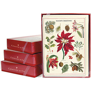 Cavallini & Co. Botanica Christmas Boxed Notes