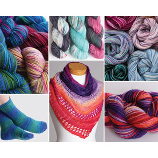 Intro to Dyeing Kit