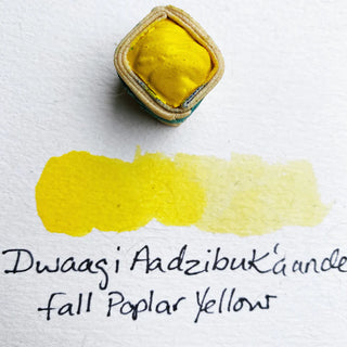 Beam Watercolour Paintstones