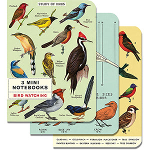 Cavallini & Co. Bird Watching Mini Notebooks Set of 3