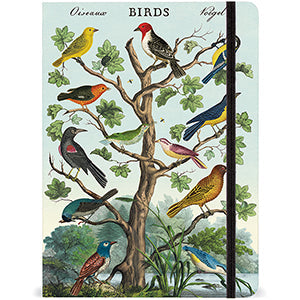 Birds Notebook