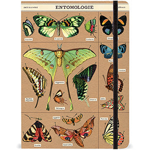 Entomology Notebook