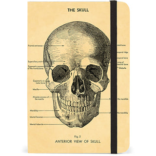 Cavallini & Co Skull Notebook Small