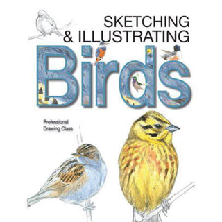 Sketching & Illustrating Birds