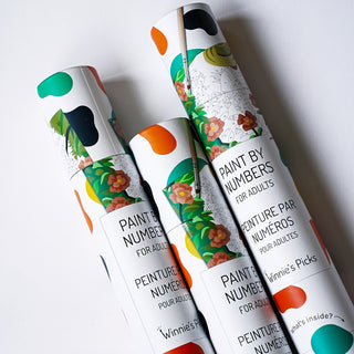 Adult Paint by Number Kits