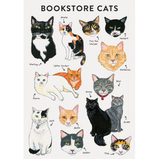 Flexi Journal: Bookstore Cats