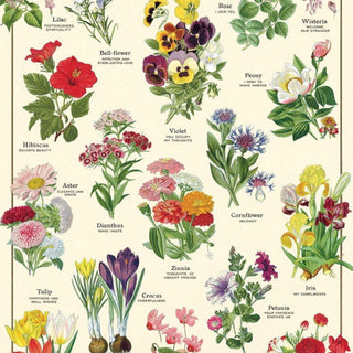 Cavallini & Co. Wrap/Posters