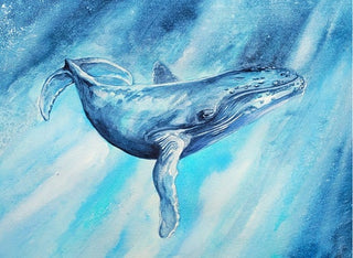 Watercolour Workshop: Painting Whales
