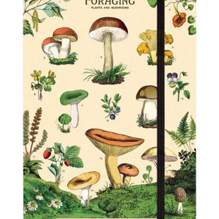 Cavallini & Co. Large Notebooks